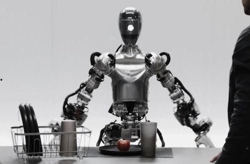 半机械人,科技与人类的融合之路  第2张