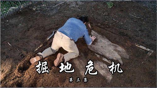 掘地危机,揭秘地下世界暗流涌动的生存挑战  第2张