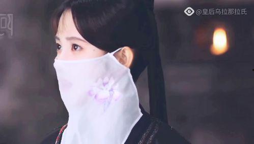 面纱之下,探寻隐藏在表象之下的真实世界  第2张