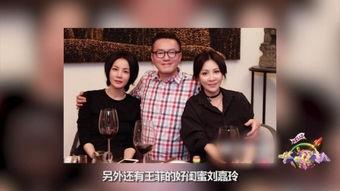 消失的医神,揭秘古代医学传奇之谜  第2张