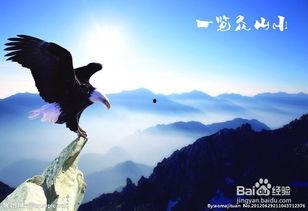 人生滑起来2,激情飞跃，梦想成真  第2张