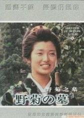 野菊之墓,缅怀与传承的哀歌